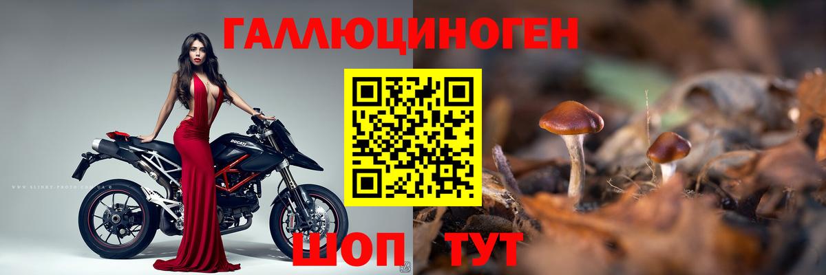 Кольчугино  Галлюциногенные грибы MAGIC MUSHROOMS  Вход с VPN  закладка  Псилоцибиновые грибы мухоморы 